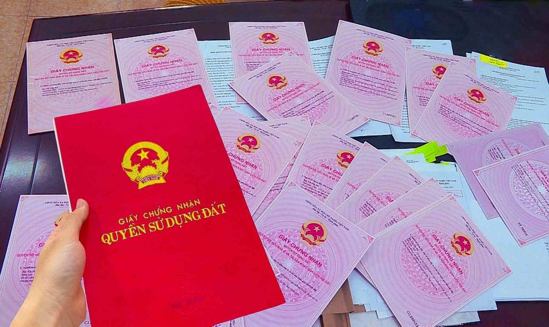 penerjemah bahasa vietnam